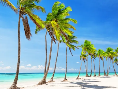 excursión isla Saona desde Punta Cana paseo en barco catamarán Almuerzo República Dominicana