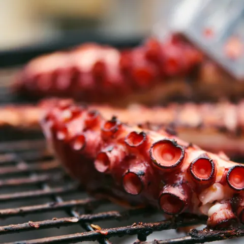 Pulpo  a la brasa en Santiago de Compostela-santiago de compostela donde comer-Buendía Tours