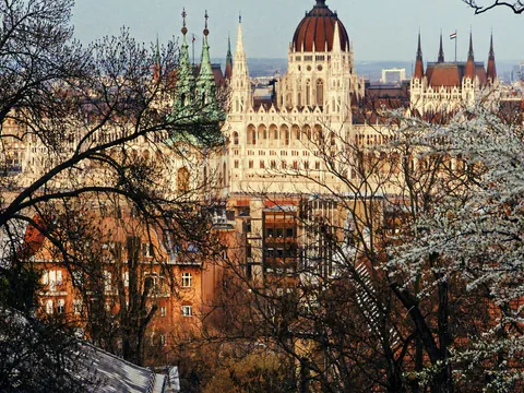 El Parlamento de Budapest visto a través de árboles en flor en primavera.