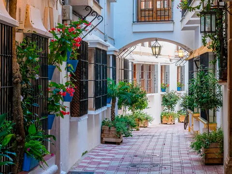 Mijas Marbella Puerto Banus tour visita guiada Transporte Bus excursión Málaga