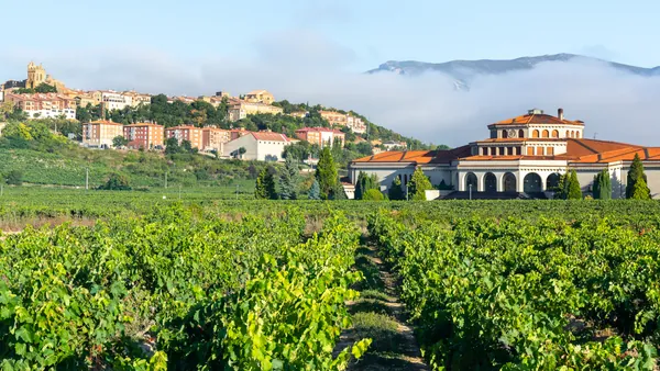 La localidad de Laguardia y sus viñedos de Rioja Alavesa