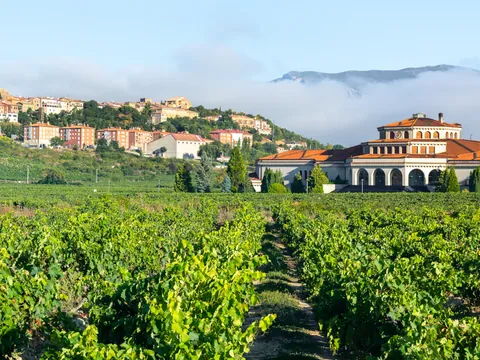 La localidad de Laguardia y sus viñedos de Rioja Alavesa