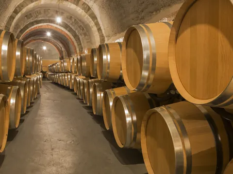 excursión Ribera del Duero desde Madrid excursiones visitas guiadas Cata Degustacion Vinos