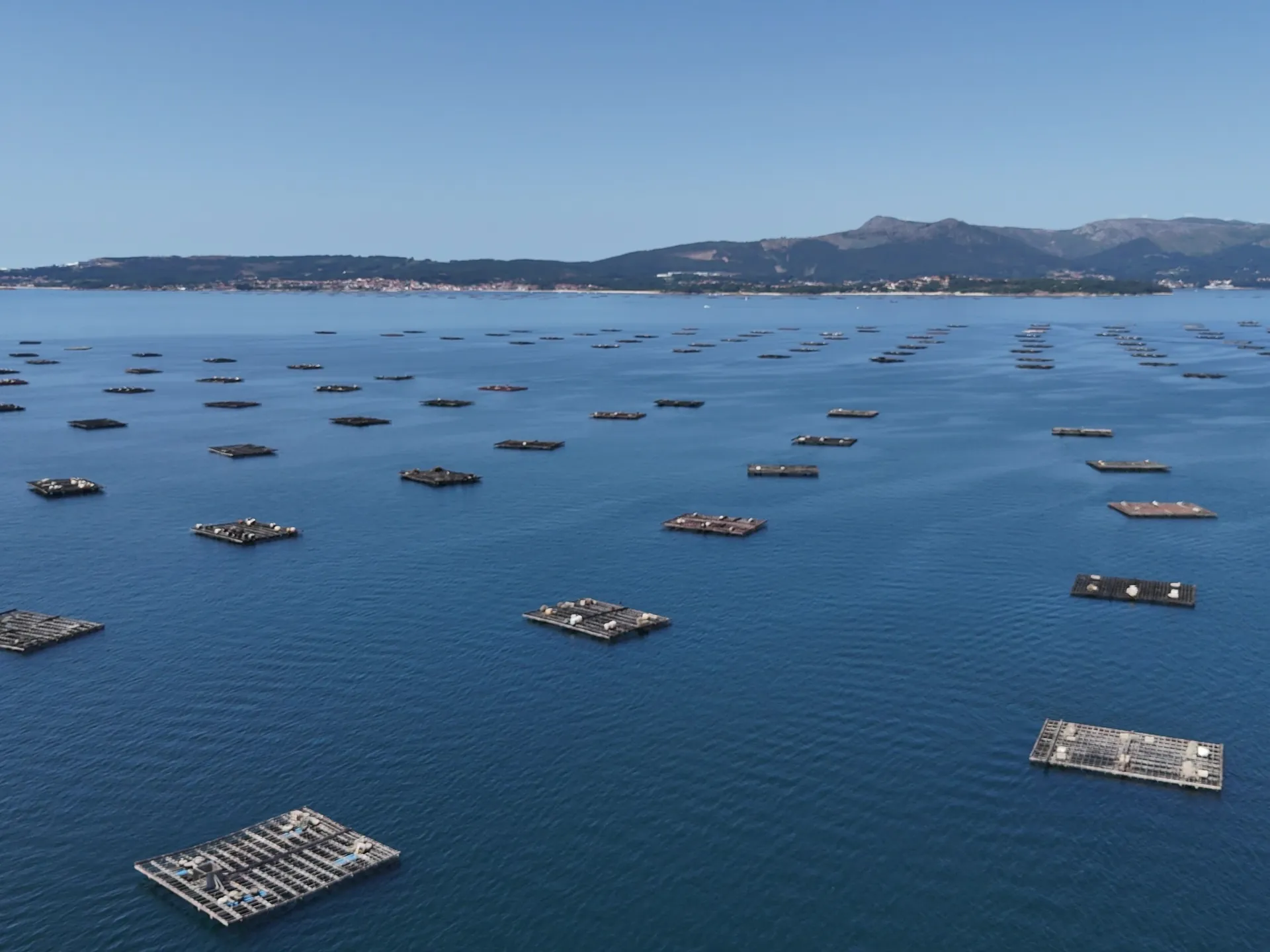 bateas ría de Arousa