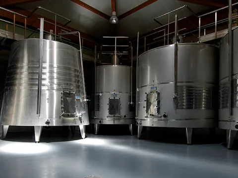 visita Bodegas Pago Larrainzar Viñedo Cata Vinos Pamplona Navarra
