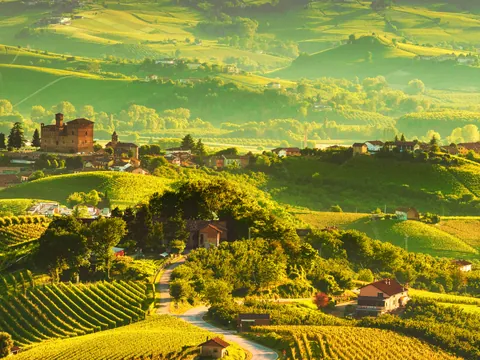 Excursión a Siena y cata de vinos en el Chianti desde Florencia