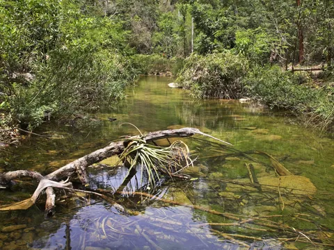 Agua transparente en el Parque Natural el Cubano en Trinidad, Cuba