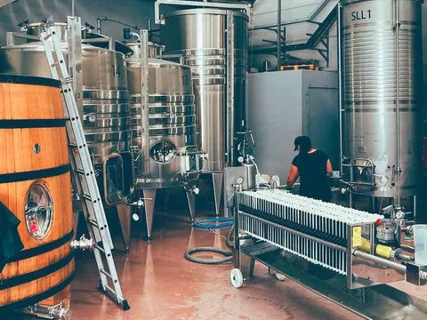 visita-bodega-verderrubi_cata_aperitivo_valladolid_viñedo_enoturismo_vinos_castilla-leon_buendia-tours (4).jpg