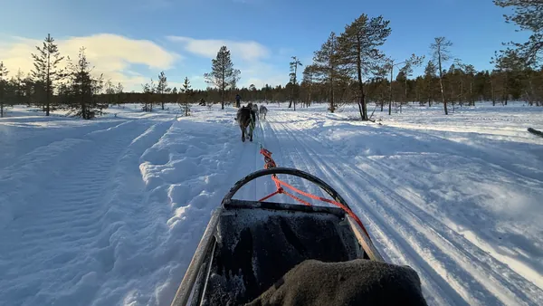 Siente la emoción del trineo tirado por huskies a través de paisajes cubiertos de nieve.