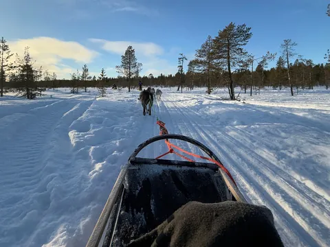 Siente la emoción del trineo tirado por huskies a través de paisajes cubiertos de nieve.