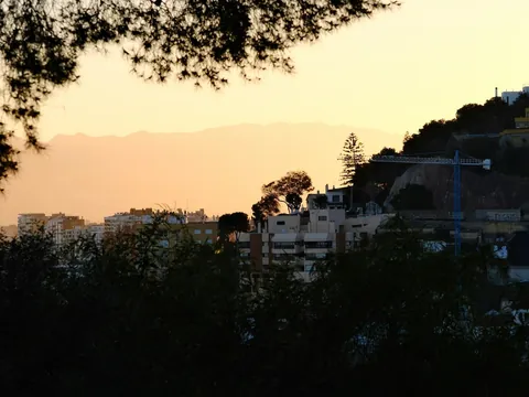 Vistas de Málaga entre árboles: edificios y montañas bajo un cielo de atardecer.