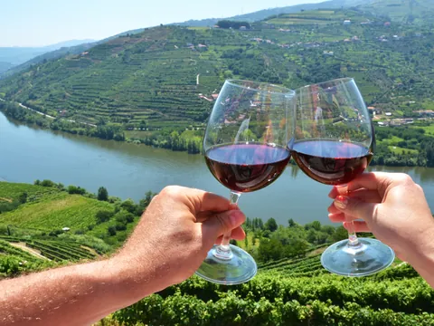 Brindis con copas de vino en el entorno del Valle del Duero.