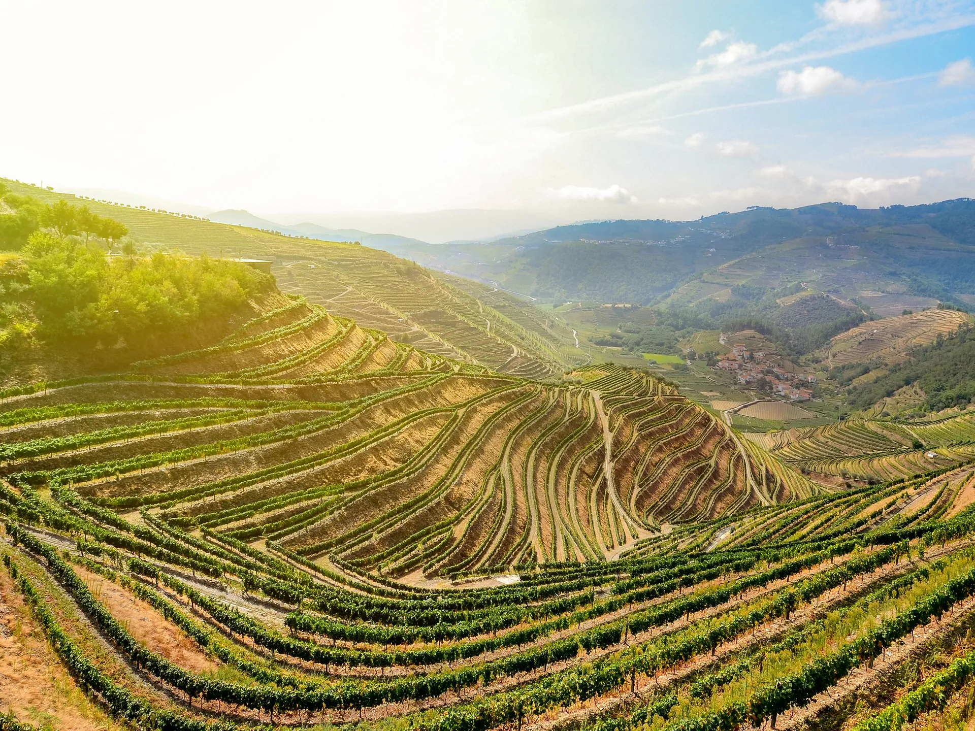 Valle del Duero - Sitios que debes conocer de Portugal - Blog - Buendía Tours