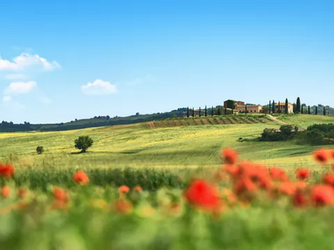 Tour en vespa por la Toscana