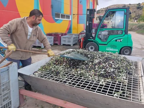 visita Olivarr Cate Aceite Oliete