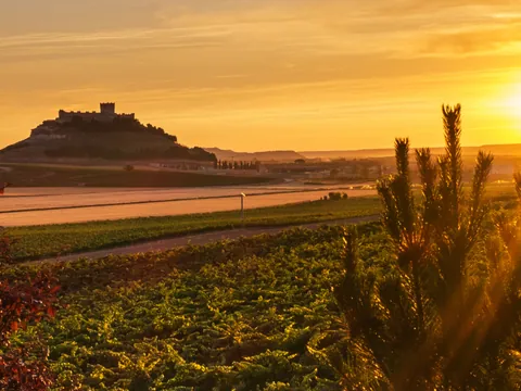 Excursión a la Ribera del Duero desde Madrid