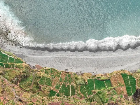 excursión 4x4 Madeira Funchal Acantilados Valles Degustacion Vino Skywalk