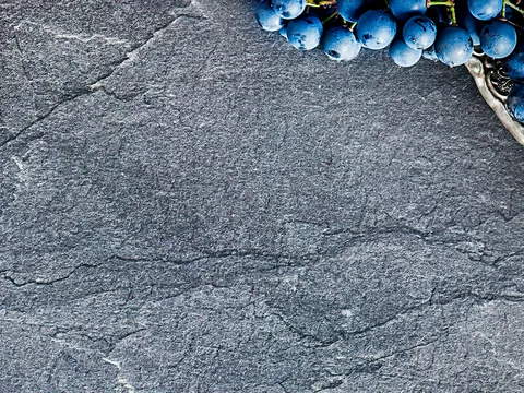 Visita a la bodega Ruiz Torres con cata