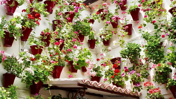 Cómo elegir entre los tours a pie y visitas guiadas para conocer los Patios de Córdoba