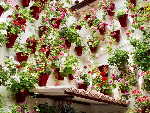 Free tour por los Patios de Córdoba