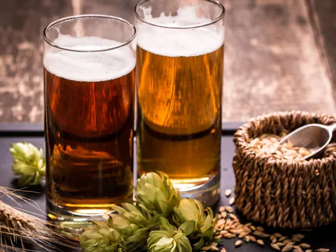 visita guiada Fabrica Cerveza Artesanal Valles Lopulo Brimeda Castilla León