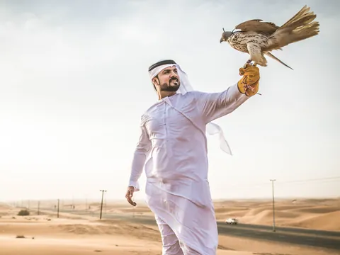 Safari Premium Dunas Rojas Deierto Dubai Oasis Dinerat Marmoon 4x4 paseo Camello Henna Alcones Danzaespectaculo Sandboarding Barbacoa Emiratos Arabes