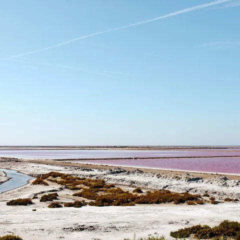 Imagen de la Laguna Rosa
