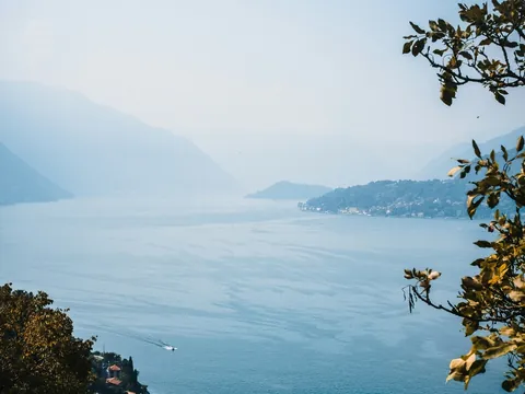 Vista panorámica del Lago di Como entre montañas y vegetación en primer plano