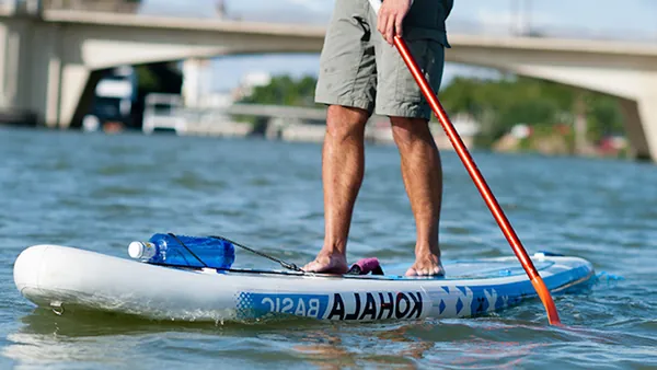 Ruta Guiada Kayak Canoa Paddle Surf Guadalquivir Sevilla