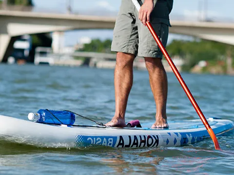 Ruta Guiada Kayak Canoa Paddle Surf Guadalquivir Sevilla