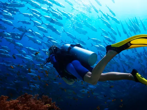 Buceo barco Menorca Inmersion Diving S'algar Salgar Mahon islas Baleares