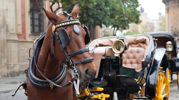 paseo Calesa Sevilla Coche Caballos