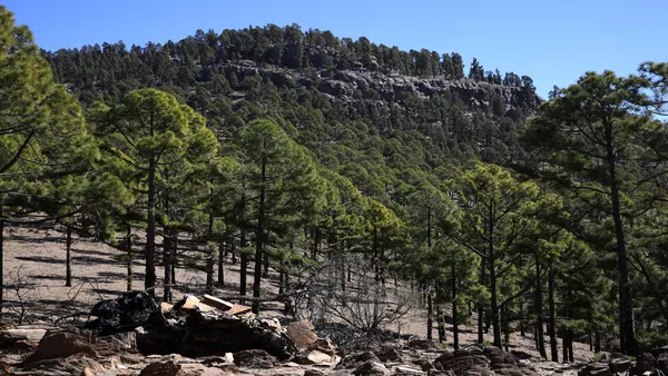 excursión Parque Nacional Teide visita guiada Vilaflor español Transporte Canarias