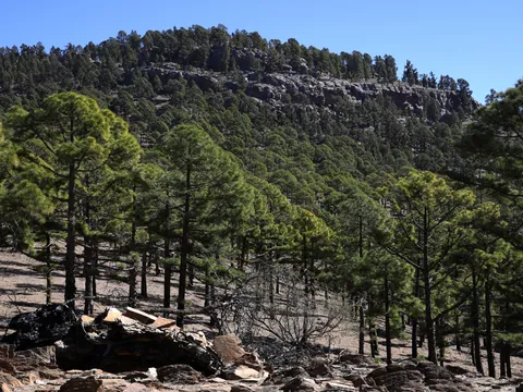 excursión Parque Nacional Teide visita guiada Vilaflor español Transporte Canarias
