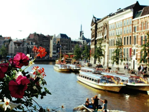 Free tour Ámsterdam Imprescindible