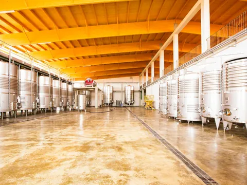 Cata de Vinos en Bodega Vi Rei Llucmayor Mallorca