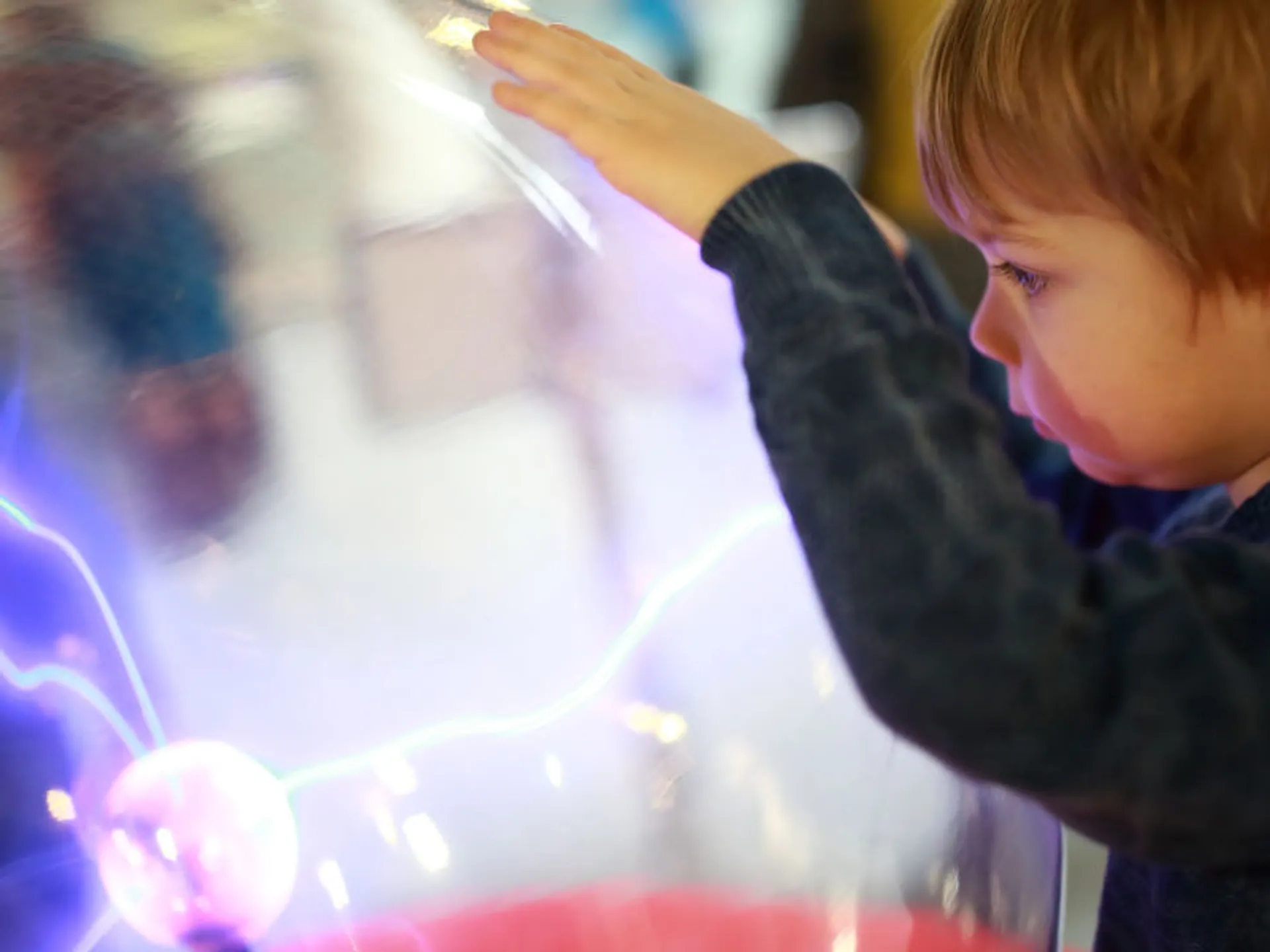 Este museo para niños en Valencia hará volar su imaginación y aprenderán, mientras se divierten, sobre historia, ciencia, biología y otras muchas ramas de estudio.
