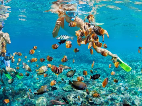 excursión isla Contoy isla Mujeres desde Cancun Playa Carmen barco Buceo Snorkek
