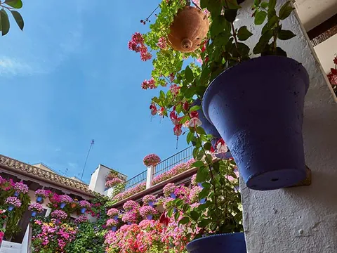 Patios Córdoba visita guiada Patios Córdoba