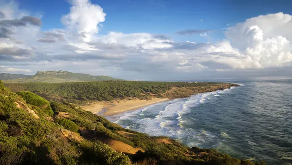 Excursiones en Cádiz Provincia para descubrir pueblos blancos, costa atlántica y escapadas únicas
