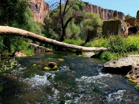 Río entre vegetación en el Cañón de Ihlara, Capadocia, Turquía