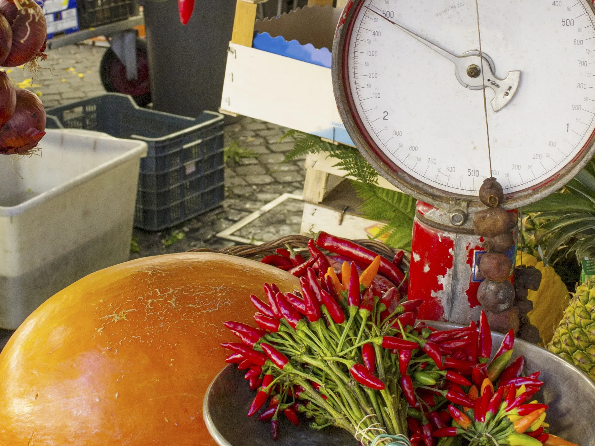 Mercato Campo de Fiori de Roma