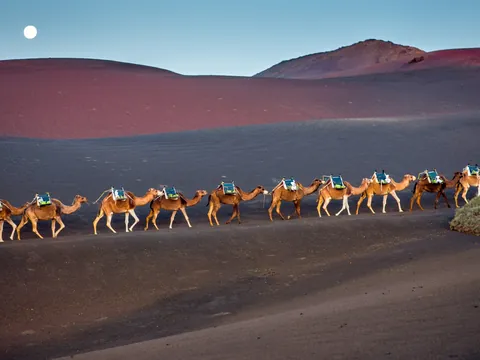 excursión Lanzarote desde Fuerteventura Timanfaya barco Camellos Ferry Corrajelo Canarias