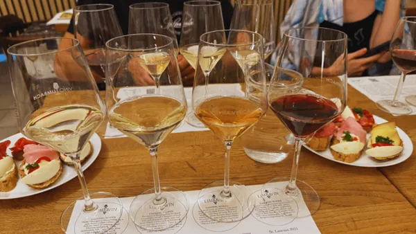 Copas de vino tinto y vino blanco de un grupo que disfruta de la cata.