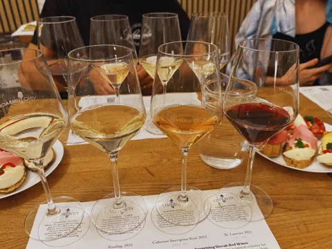 Copas de vino tinto y vino blanco de un grupo que disfruta de la cata.