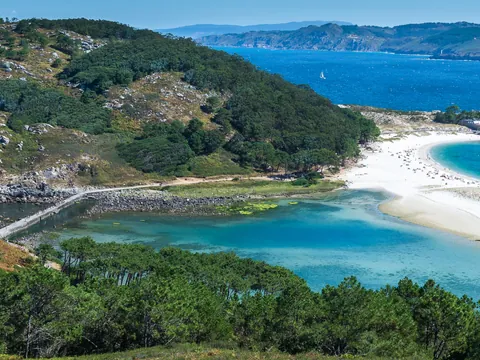 Excursión a las Rías Baixas con visita a bodega desde Santiago de Compostela