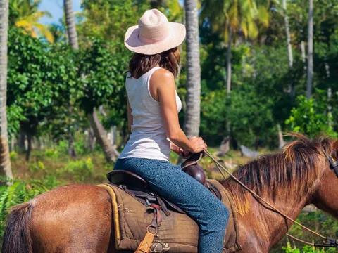 avistamiento-ballenas_bahia-samana_punta-cana_paseo-caballo_excursion_republica-dominicana_buendia-tours.jpg
