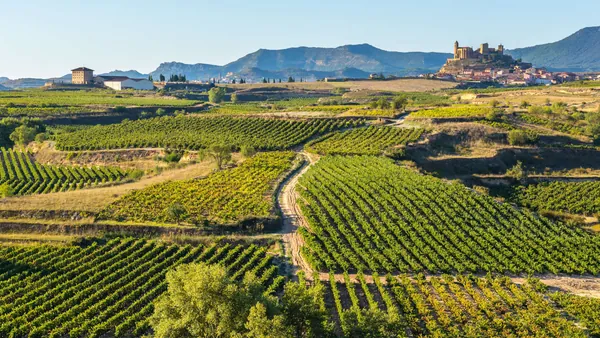 Qué hacer en Laguardia entre vino, bodegas y uno de los pueblos más bonitos de Rioja Alavesa