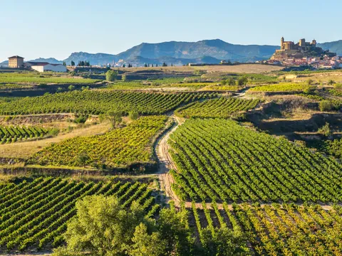 visita guiada Laguardia Cuevas Dorretxe Viñedos País Vasco