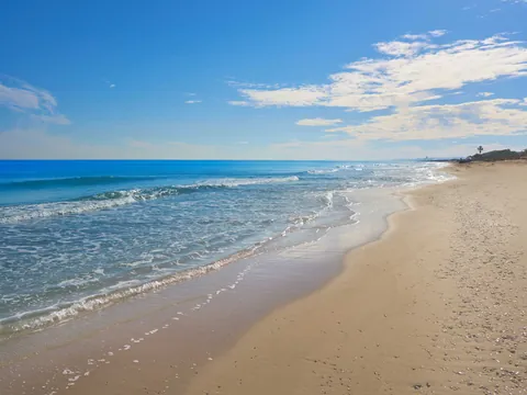 Playa de El Saler es una extensa playa de arena fina con dunas y vegetación mediterránea.